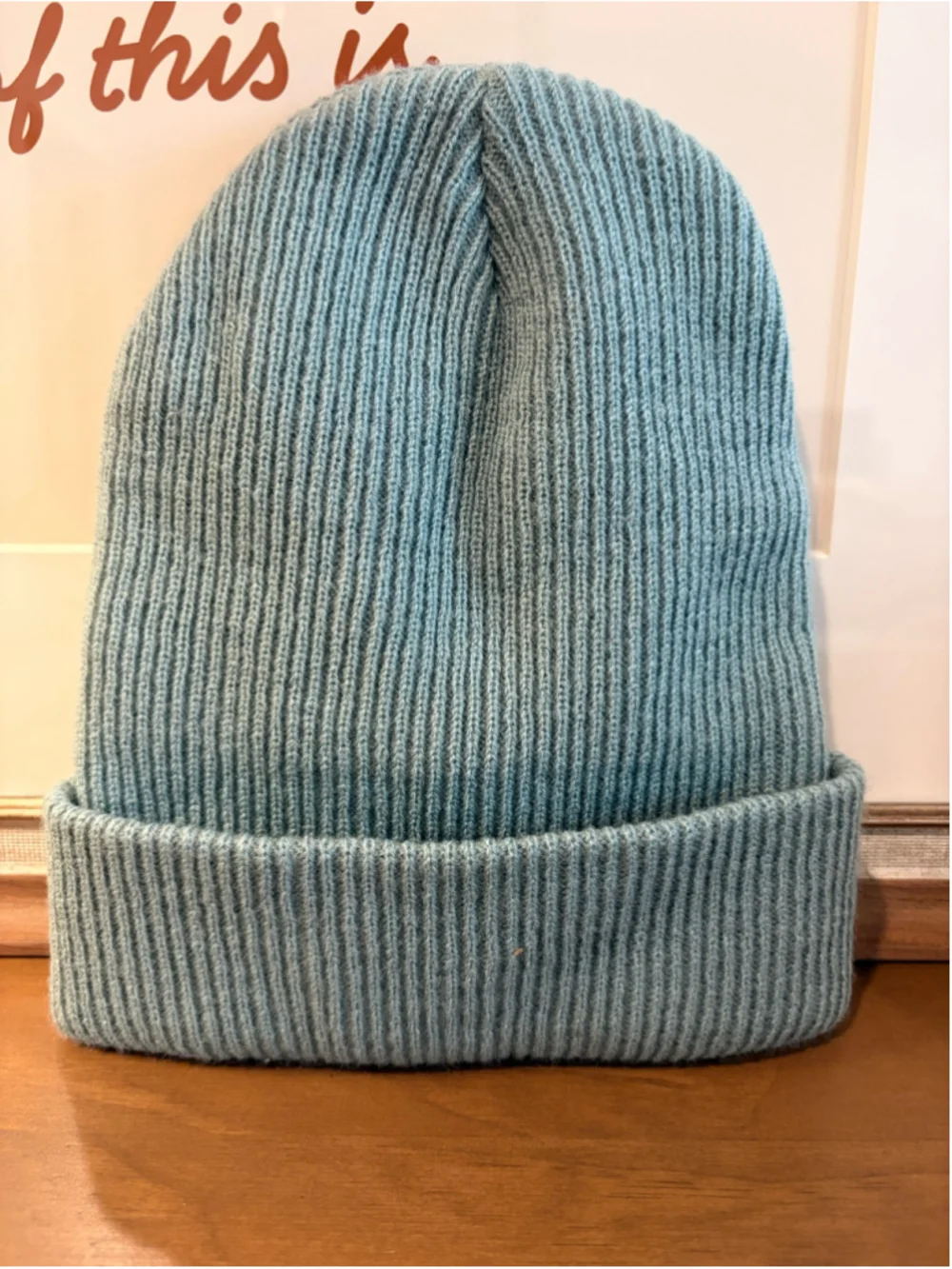 Assholes Live Forever Beanie - Blue